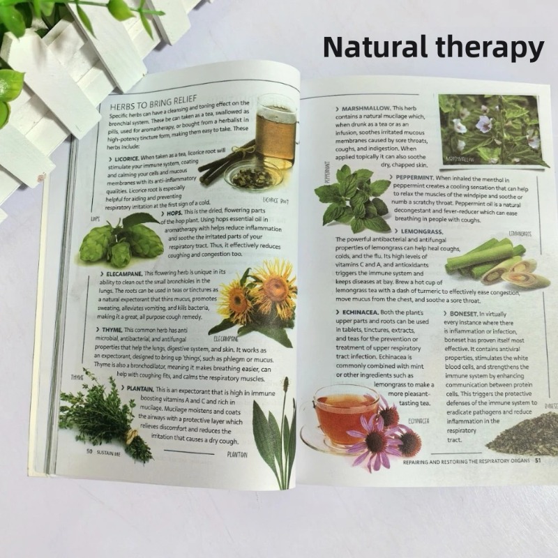 Sustain Me Barbara O'Neill A H - Health Wellness Foundation recension och pris