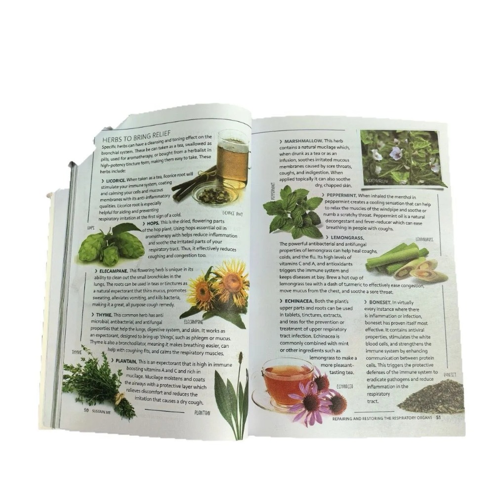 Sustain Me English Paperback b - Health Wellness Foundation recension och pris