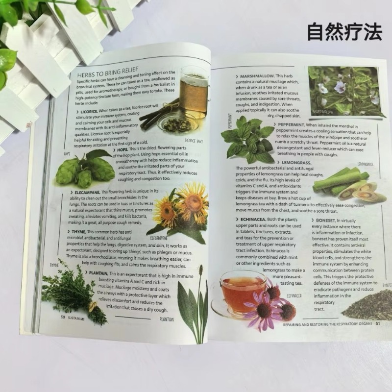 Sustain Me English Paperback B - Health Wellness Foundation recension och pris